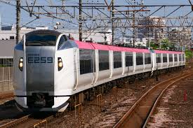 Move to Narita Airport