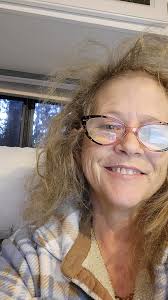 Introduction and sugar cookies photo