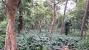 Padmapuram Gardens Araku