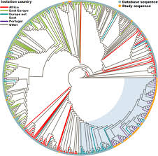 Portugal ranked first for firing cost > weeks of wages amongst nato countries in 2006. Characterization Of A Large Cluster Of Hiv 1 A1 Infections Detected In Portugal And Connected To Several Western European Countries Scientific Reports