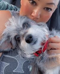 my crazy girl lola! she could do this all day! 😂❣️