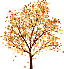 Fall Trees Drawing Tumblr Oak Tree Drawings Tree Drawing Wallpaper Autumn Trees