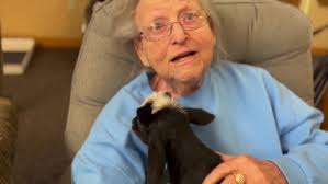 Baby goats pay special visit to Logan Health's Brendan House
