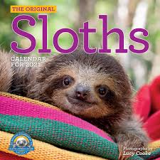 Sloth definition, habitual disinclination to exertion; Original Sloths 2021 Calendar Cooke Lucy Workman Calendars Amazon De Bucher