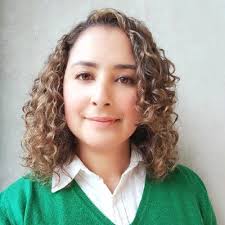 Ricardo Franco Rivera Huaman en LinkedIn: Propuesta de diseño para mejorar  las condiciones de circulación peatonal…