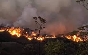 Información, novedades y última hora sobre incendios. Van En Aumento Incendios Forestales En Edomex El Sol De Toluca Noticias Locales Policiacas Sobre Mexico Edomex Y El Mundo