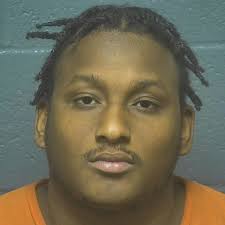 Baltimore Teens Face Charges for Burning Dead Deer in Perry Hall