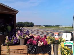 Desserts to pick up in the morning from 11 am to 12 pm, 18, 19 and 20 june 2021. Cueillette A La Ferme De Viltain A Jouy En Josas Yvelines Tourisme