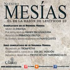 El Mesias Es La Razon De Leviticos 23 Con Imagenes Escrituras De La Biblia Biblia Hebrea Frases Kabbalah