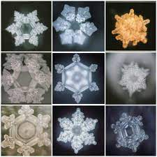 26 The Hidden Messages In Water Ideas Hidden Messages In Water Masaru Emoto Hidden Messages