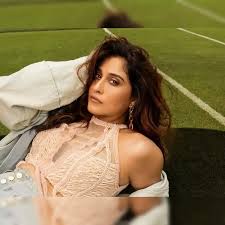 Tamil-Telegu actress claims Bollywood once snubbed South stars but today it  is chasing them - The Economic Times