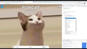Cat vibing to ievan polkka easy to expert. How To Get Hacks To Popcat Sverige Youtube
