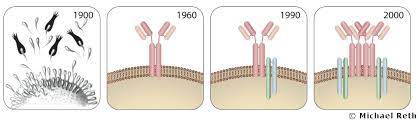 Ehrlich theorized from very early in his career that chemical structure could be used to explain why the immune response occurred in reaction to infection. Paul Ehrlich And Ludwig Darmstaedter Prize Chemviews Magazine Chemistryviews