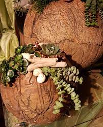 So sind jetzt auch neue betonkugeln entstanden. Folgekurs Betonkugeln Schwarzen Und Bepflanzen 1x2 Std Exkl Mat Mondblume Blumen Kurse Geschenke