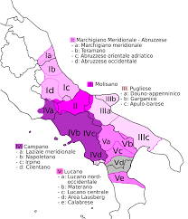 Ebbene, oltre all'esistenza di quei volumi dobbiamo segnalare l'esistenza di un traduttore online che si chiama giggino: Dialetto Napoletano Wikipedia