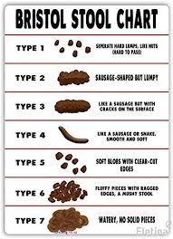 Image result for Bristol Stool Scale