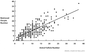 Biological Clock Antrical Follicles The Infertility