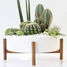 Group different sizes of glass bowls for maximum impact. Mid Century Large Round Succulent Planter Bowl 10 Inch Pot With Wood Stand Coffee Table Centerp Indoor Plant Pots White Ceramic Planter Large Indoor Plants