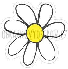 Image result for foto Kopretina