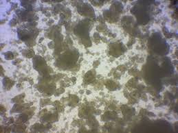 Enriched with aloe vera and vitamin e to hydrate skin. The Trouble With Making Your Own Sunscreen Realize Beauty