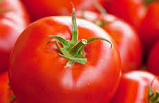 Resultado de imagen para imagenes de un nopal un aguacate un tomate.