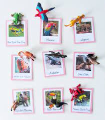 Pin By Imagine Our Life On Homeschool South America Animals Montessori Geography South America Continent