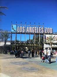 Los Angeles Zoo Los Angeles Zoo California Travel Los Angeles