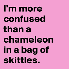 Post By Quesera On Boldomatic Bad Day Quotes Confused Quotes Funny Quotes