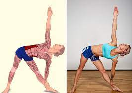 hayat kurtaran 17 kas esnetme stretching hareketi