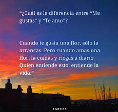 120 Nuevas Frases Y Poesias Bonitas Cortas De La Vida Para Pensar O Reflexionar Con Fotos E Image Frases Bonitas Frases De Enamorados Frases Bonitas De Amistad