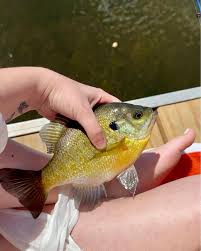 part 4 girls trip turned into fishing trip