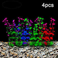 Pin On Salt Water Aquarium Design