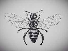 Honey Bee Tattoo Honey Bee Tattoo Bee Tattoo Insect Tattoo