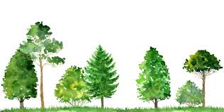 Recognized as a trusted team of tree care specialists, life's tree doctor, llc is staffed by certified arborists who provide top quality maintenance for a variety of commercial and residential landscapes in roswell and surrounding regions. The 5 Best Online Arboriculture Tree Surgeon Trade Schools In 2021