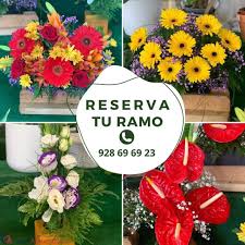 Siempreviva Floristería S.L.