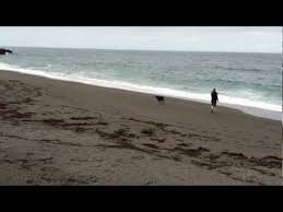 Gualala Point Regional Park, Gualala | DestiMap | Destinations On Map