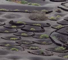 Handbook 2002/2003 ab