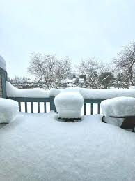 One ham smothered in wild orange honey, spring foraged leeks, and local  apples.... The other is drenched in local maple syrup, and Cajun  seasonings.... The turkey took
