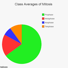 class averages of mitosis imgflip