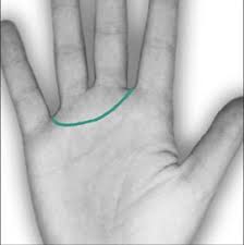 Los Campesinos Baby I Got The Death Rattle Lyrics Genius Lyrics