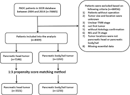 Dark urine and greasy stools can also be signs of other conditions, including hepatitis and certain blood disorders. Tumor Location As An Indicator Of Survival In T1 Resectable Pancreatic Ductal Adenocarcinoma A Propensity Score Matched Analysis Bmc Gastroenterology Full Text