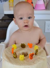 William the Conqueror Turns One