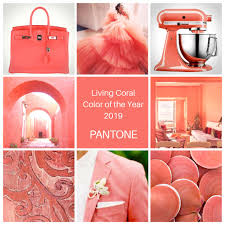 Pantone S 2019 Color Of The Year Living Coral A Beautiful Bright Energetic Colour That Hints At Summer In F Coral Colour Palette Color Inspiration Pantone