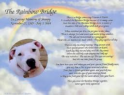 Just this side of rainbow bridge there is a land of meadows, hills, and valleys with lush, green grass. Personalized Pet Memorial Poem The Rainbow Bridge For Loss Of Pet Ebay