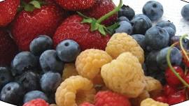 Farm to Table Dinner