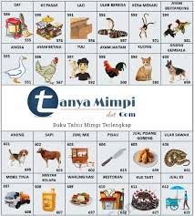 Layak anda ketahui bahwa buku erek erek adalah. Buku Mimpi 3d Bergambar Seribu Erek Erek 3d Lengkap Tanya Mimpi Buku Mimpi