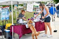 Dog Days of Summer Market | Week 12