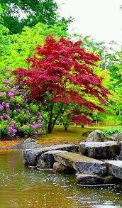 Pin By Maria Vigil On Beautiful Photos Nature Photography Beautiful Landscapes Nature