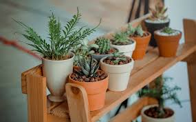 Chalk paint, milk paint, latex paint, oil paint, and spray paint. Paint Plant Pots To Brighten Up Your Space Product Care Recycling