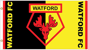 They play in the premier league, the first t. Giant Watford Fc Crest Premier League Official Flag 5ft X 3ft 100 Polyester Amazon Co Uk Sports Outdoors